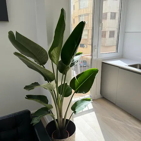 The Place Tenerife *