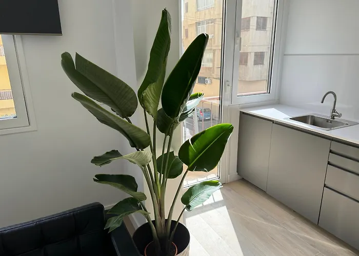 The Place Tenerife *